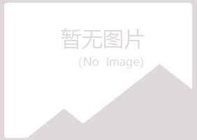 平原县乐枫会计有限公司